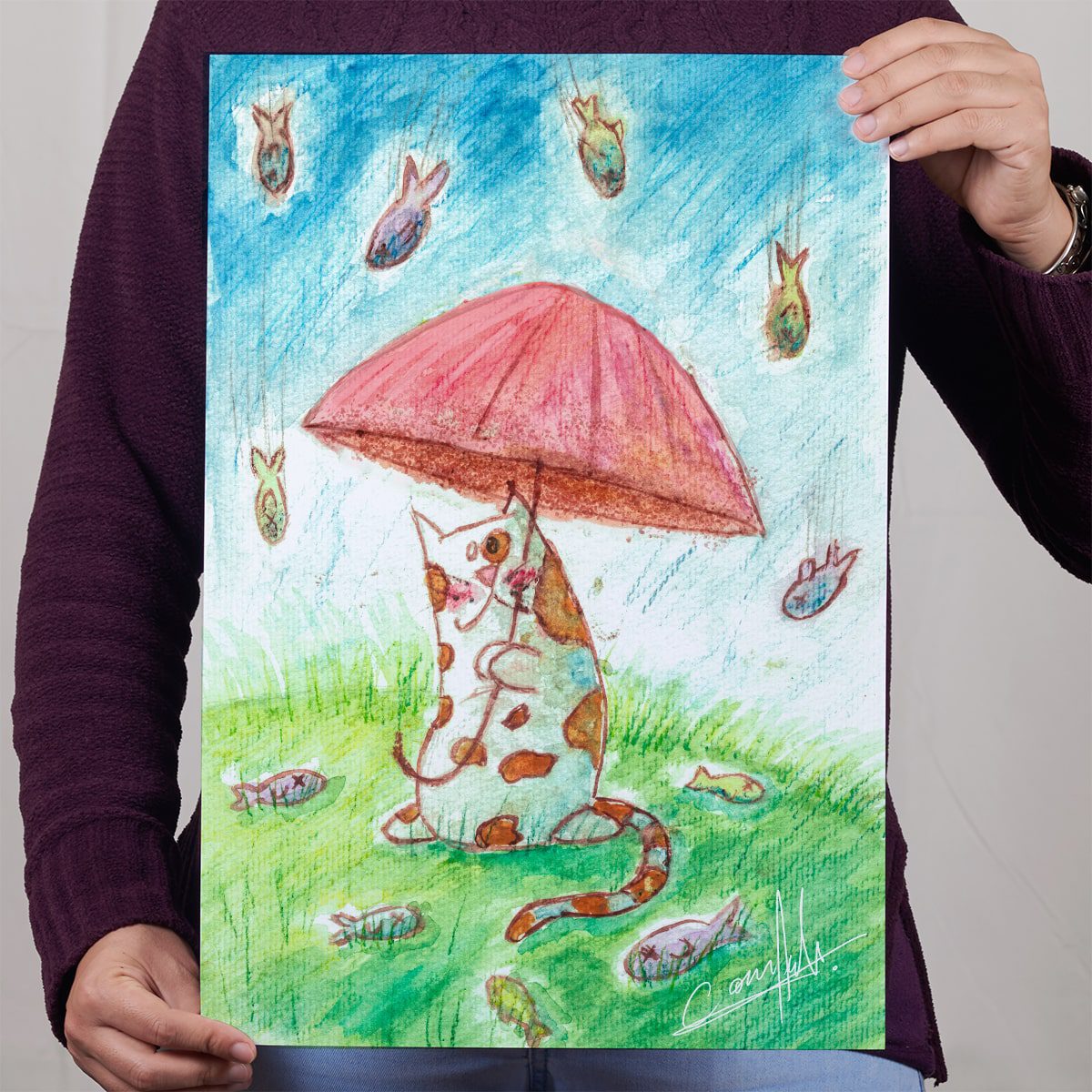 Lámina la lluvia de peces